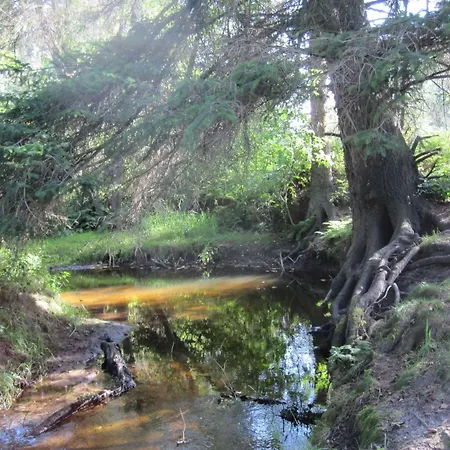 Højgaarden Slettestrand