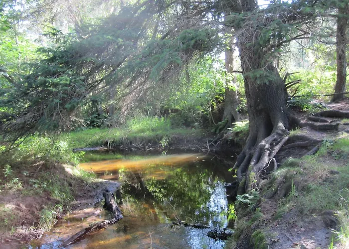 Hojgaarden Slettestrand